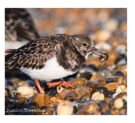 March 2021, Seasalter Beach