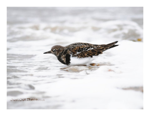 Seasalter Beach, Dec 2020