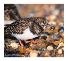 March 2021, Seasalter Beach
