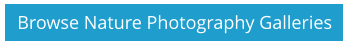 Browse Nature Photography Galleries