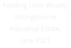 Feeding Little Woody, Sittingbourne Industrial Estate, June 2021
