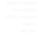 Faces in Flowers, Lizard Orchid, KWT Queendown  Warren, July 2021