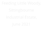 Feeding Little Woody, Sittingbourne Industrial Estate, June 2021