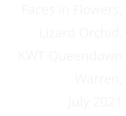 Faces in Flowers, Lizard Orchid, KWT Queendown  Warren, July 2021