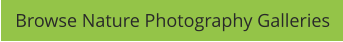 Browse Nature Photography Galleries