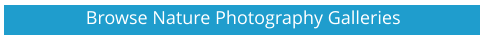 Browse Nature Photography Galleries