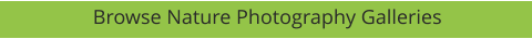 Browse Nature Photography Galleries