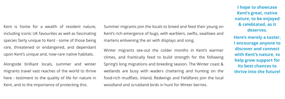 Kent is home for a wealth of resident nature, including iconic UK favourites as well as fascinating species fairly unique to Kent - some of those being rare, threatened or endangered, and dependant upon Kent’s unique and, now-rare native habitats. Alongside brilliant locals, summer and winter migrants travel vast reaches of the world to thrive here - testiment to the quality of life for nature in Kent, and to the importance of protecting this. Summer migrants join the locals to breed and feed their young on Kent’s rich emergence of bugs, with warblers, swifts, swallows and martens enlivening the air with displays and song.  Winter migrants see-out the colder months in Kent’s warmer climes, and frantically feed to build strength for the following Spring’s long migrations and breeding season. The Winter coast & wetlands are busy with waders chattering and hunting on the food-rich mudflats. Inland, Redwings and Fieldfares join the local woodland and scrubland birds in hunt for Winter berries. I hope to showcase Kent’s great, native nature, to be enjoyed & celebtated, as it deserves.  Here’s merely a taster, I encourage anyone to discover and connect with Kent’s nature, to help grow support for its best chances to thrive into the future!