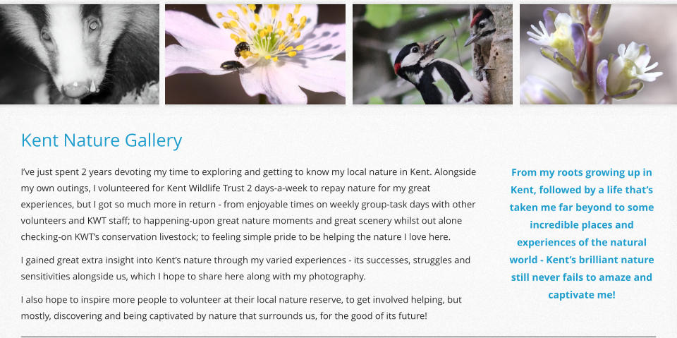 Kent Nature Gallery From my roots growing up in Kent, followed by a life that’s taken me far beyond to some incredible places and experiences of the natural world - Kent’s brilliant nature still never fails to amaze and captivate me! I’ve just spent 2 years devoting my time to exploring and getting to know my local nature in Kent. Alongside my own outings, I volunteered for Kent Wildlife Trust 2 days-a-week to repay nature for my great experiences, but I got so much more in return - from enjoyable times on weekly group-task days with other volunteers and KWT staff; to happening-upon great nature moments and great scenery whilst out alone checking-on KWT’s conservation livestock; to feeling simple pride to be helping the nature I love here. I gained great extra insight into Kent’s nature through my varied experiences - its successes, struggles and sensitivities alongside us, which I hope to share here along with my photography. I also hope to inspire more people to volunteer at their local nature reserve, to get involved helping, but mostly, discovering and being captivated by nature that surrounds us, for the good of its future!