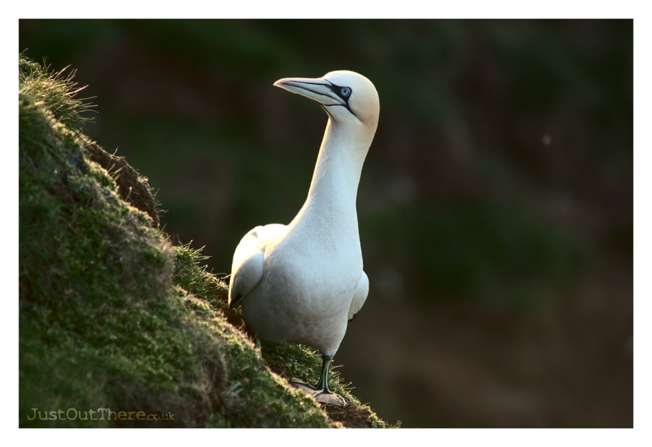 May 2022, RSPB Troupe Head Nature Reserve
