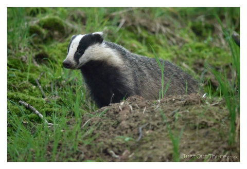 May 2022, RSPB Loch of Strathbeg
