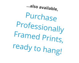 …also available, Purchase Professionally Framed Prints,  ready to hang!