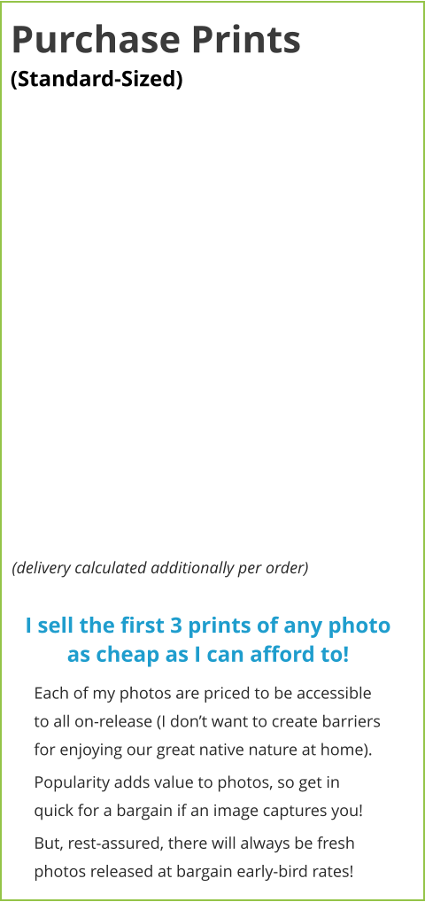 (delivery calculated additionally per order) Purchase Prints (Standard-Sized)  Each of my photos are priced to be accessible to all on-release (I don’t want to create barriers for enjoying our great native nature at home). Popularity adds value to photos, so get in quick for a bargain if an image captures you!  But, rest-assured, there will always be fresh photos released at bargain early-bird rates! I sell the first 3 prints of any photo as cheap as I can afford to!