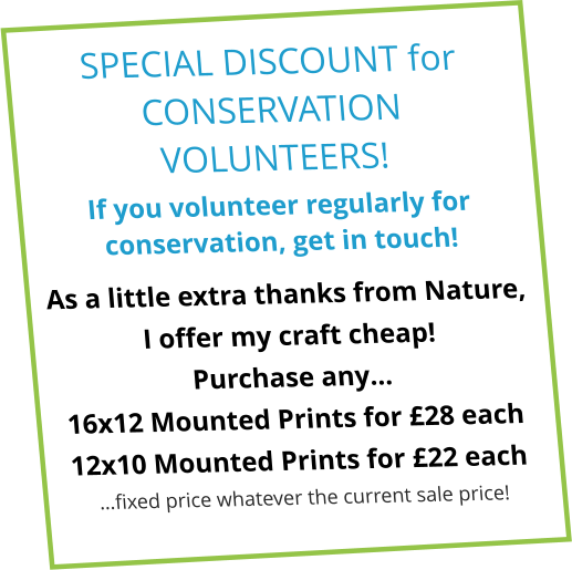 SPECIAL DISCOUNT for CONSERVATION VOLUNTEERS! If you volunteer regularly for conservation, get in touch!  As a little extra thanks from Nature,  I offer my craft cheap! Purchase any… 16x12 Mounted Prints for £28 each 12x10 Mounted Prints for £22 each  …fixed price whatever the current sale price!