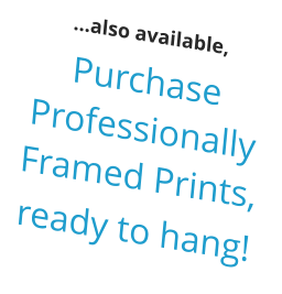 …also available, Purchase Professionally Framed Prints,  ready to hang!