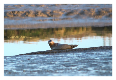 November 2021, Oare Creek