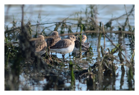 February 2021, Oare Creek